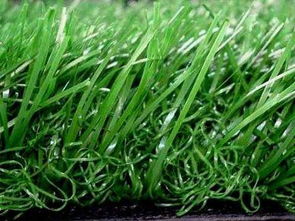 珠海 塑料 草坪 地毯 景观 人造草坪 深圳仿真草坪